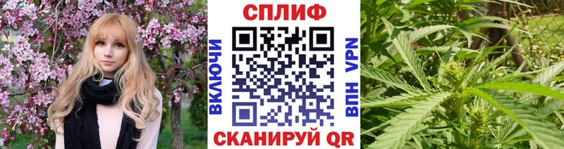 Виды наркотиков купить Пойковский КОКАИН Конопля МЕФ hydra онион Гашиш
