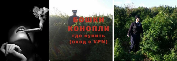 мдпв Богородск