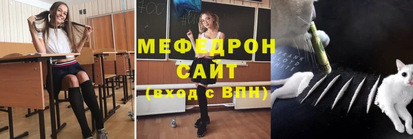 apvp Богданович