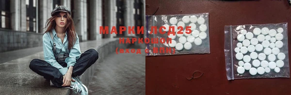 мдпв Богородск