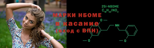 мдпв Богородск