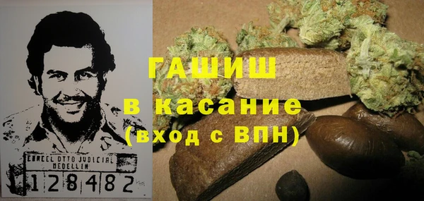 мдпв Богородск