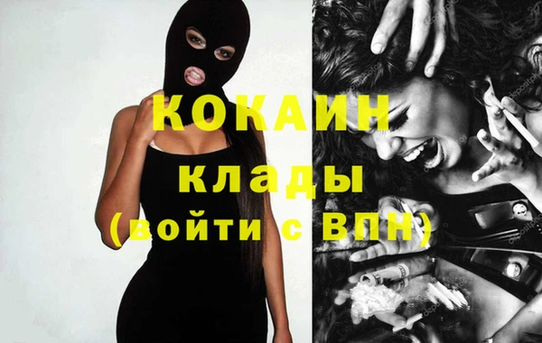 мдпв Богородск