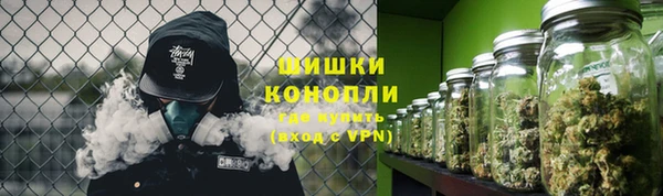 apvp Богданович