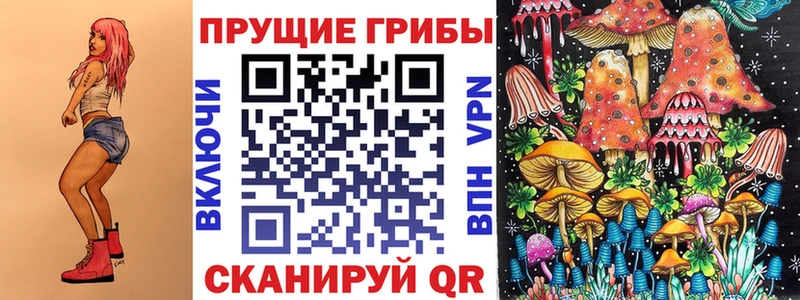 Галлюциногенные грибы мухоморы  omg   Пойковский  сколько стоит 
