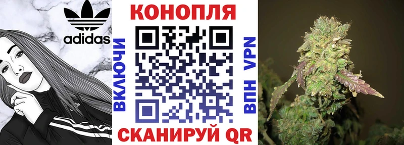 где продают   Пойковский  Каннабис семена 
